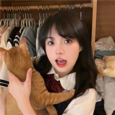 骚莎大块呆